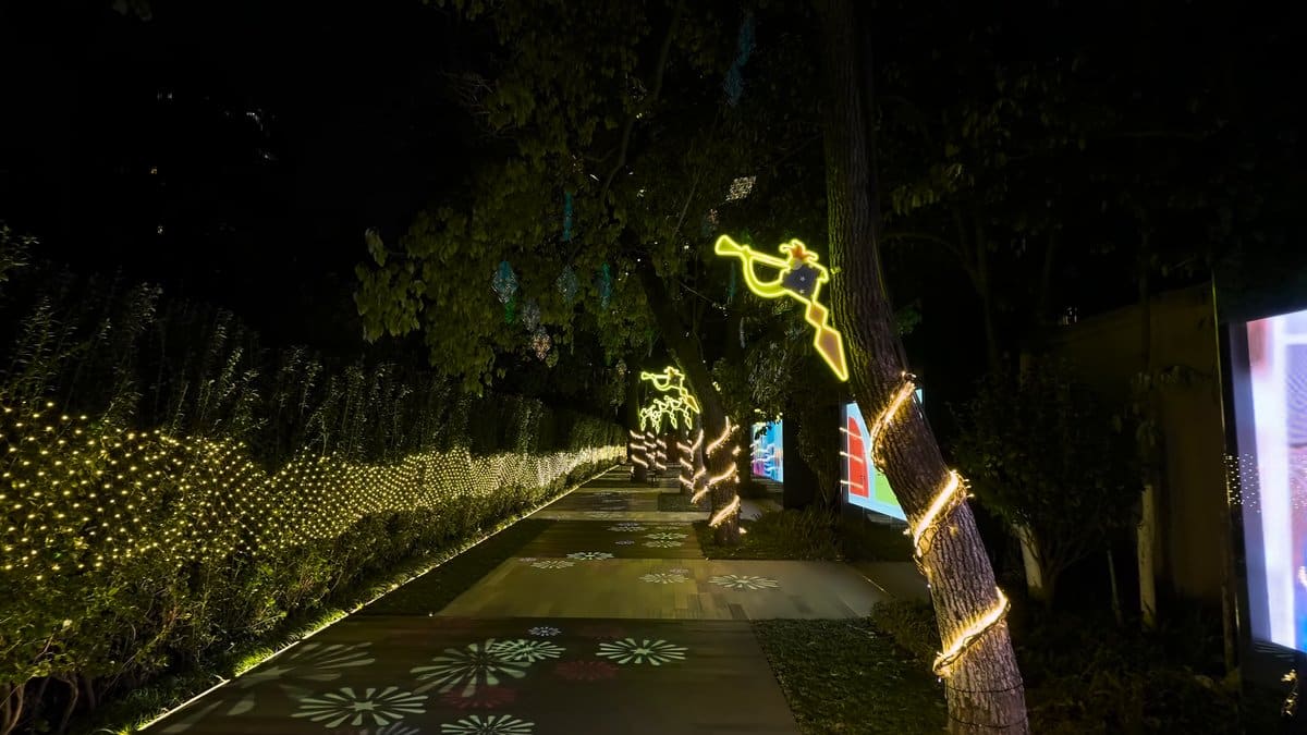 A garden path edged with lit planting, a