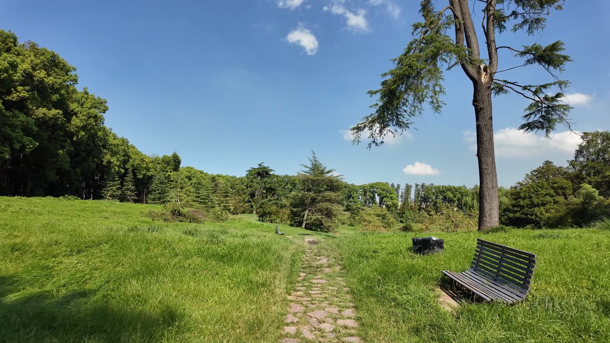 A grassy mound with a bench beside the