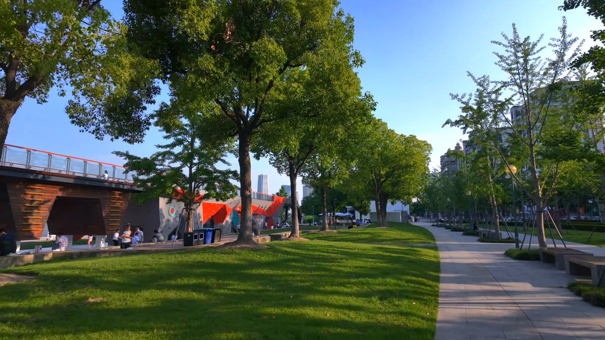 A lawn under the trees with the crane's