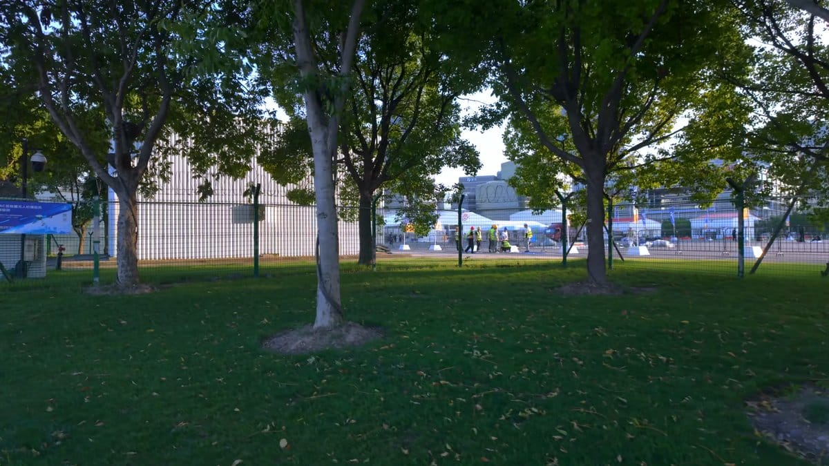 A lawn with trees and a white building