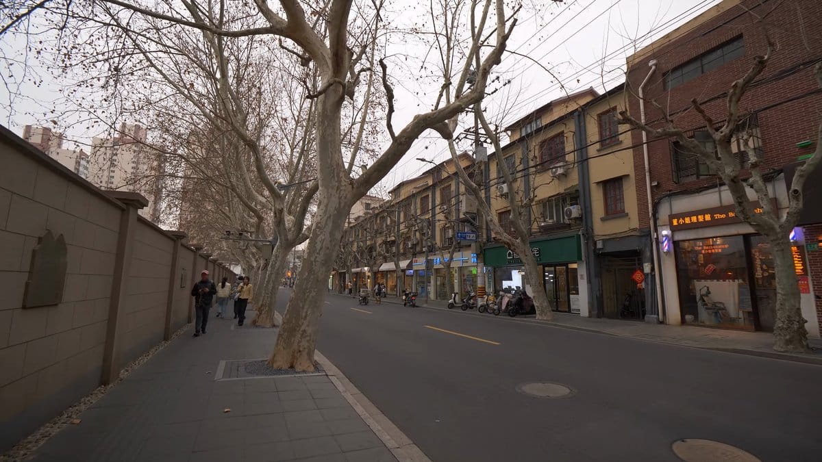 A long street with a boundary wall on