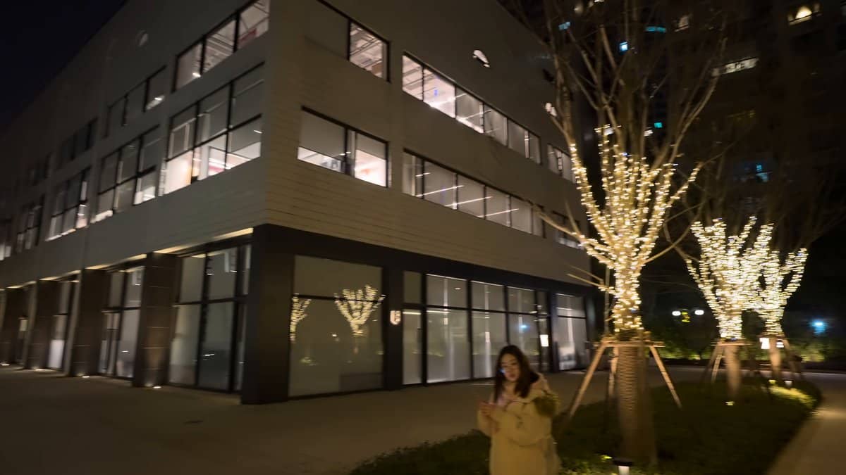 A modern block behind a lit tree, a