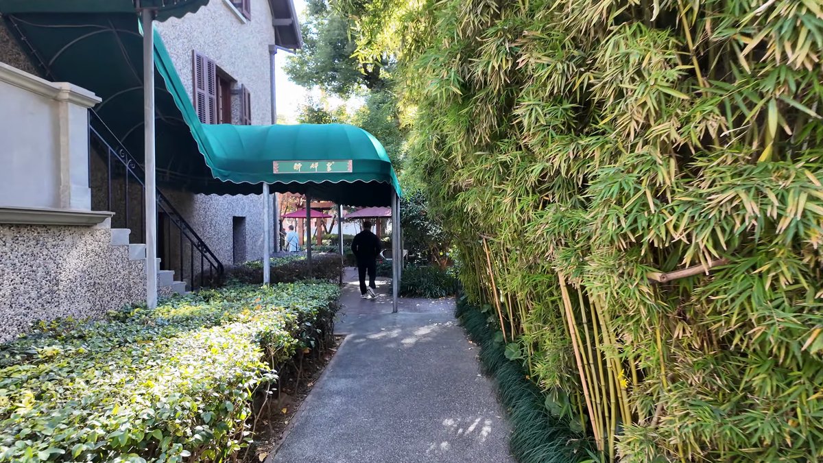 A narrow path between bamboo and clipped hedge