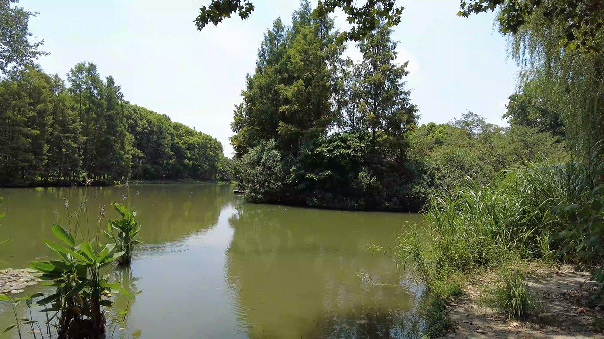 A narrow water channel running between wooded banks
