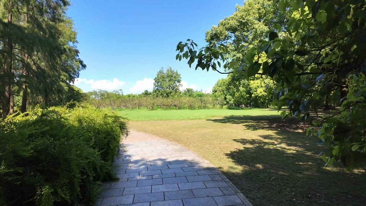 A path along the edge of a lawn,