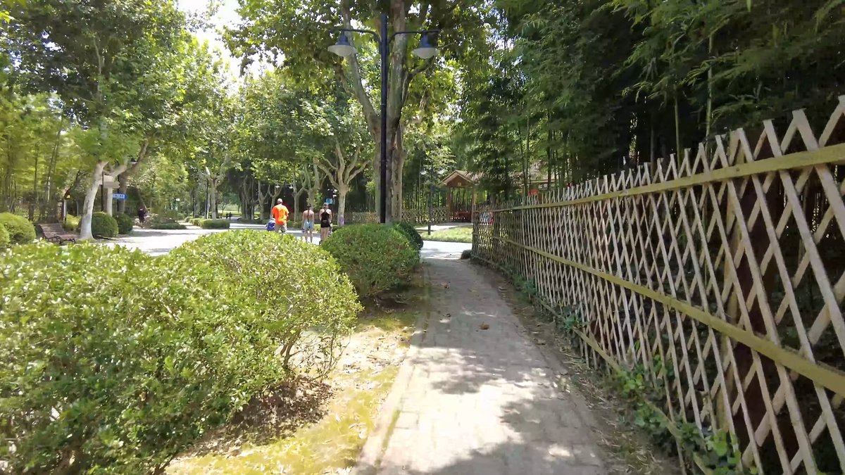 A path beside a lattice fence and clipped