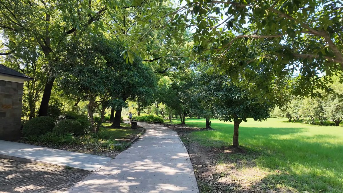A path crossing the grass between well-spaced trees.