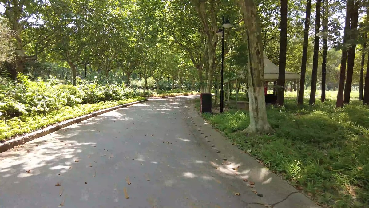 A path with a litter bin and a
