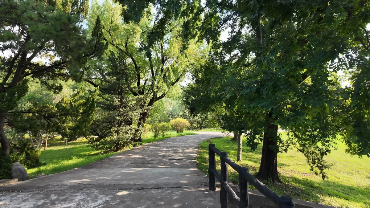 A path with a timber railing curving away