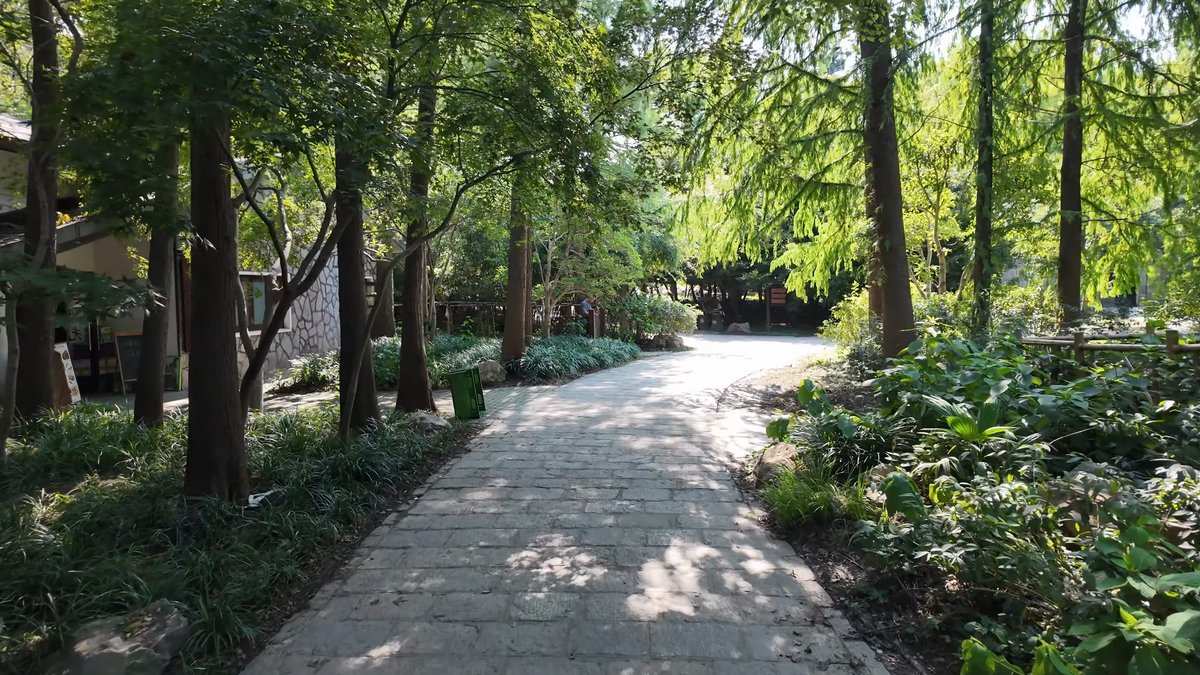 A paved path between trees, park buildings showing