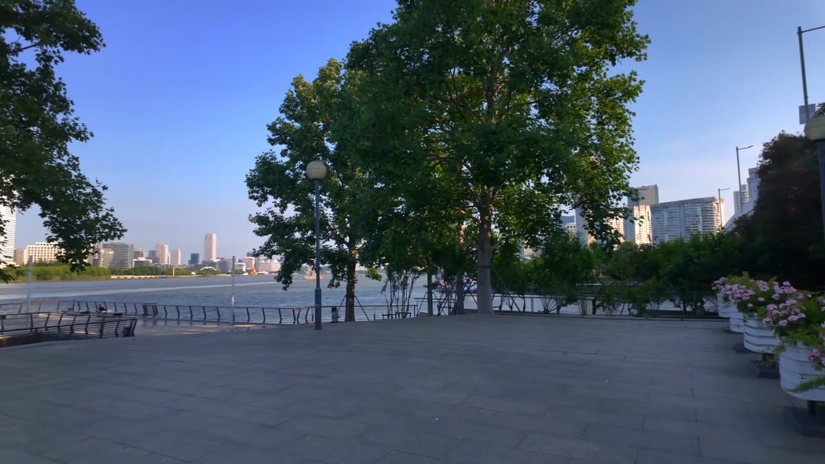 A paved terrace under the trees at the