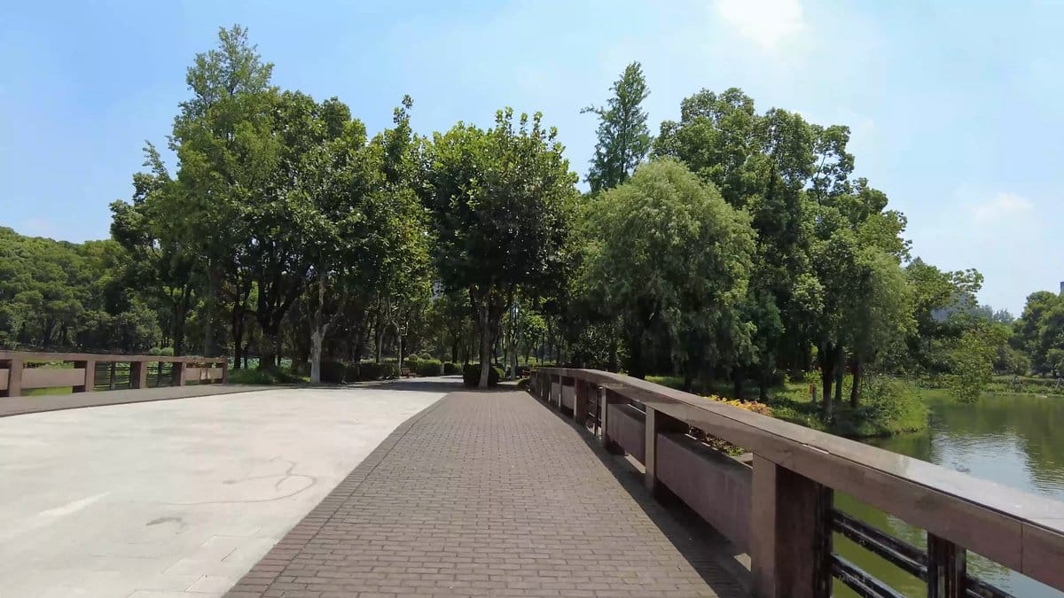 A paved terrace with a timber railing running