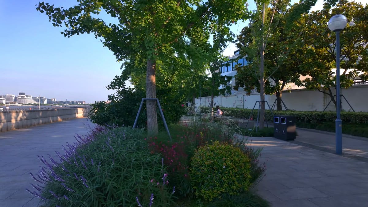 A planted border with a lamp standard and