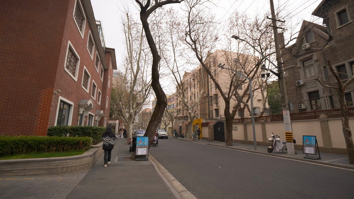 A road running between red-brick blocks, a lone