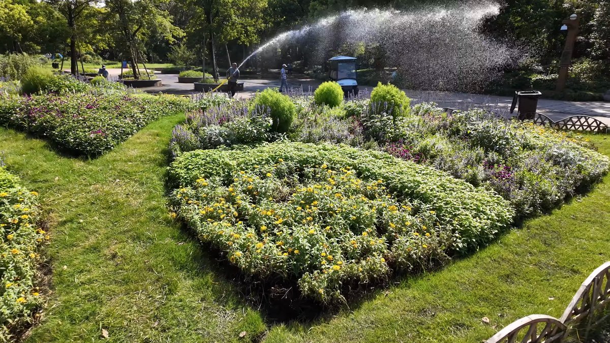 A sprinkler arcing water across a bed of