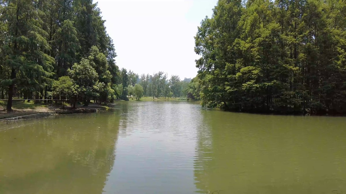 A stretch of open water between wooded banks.