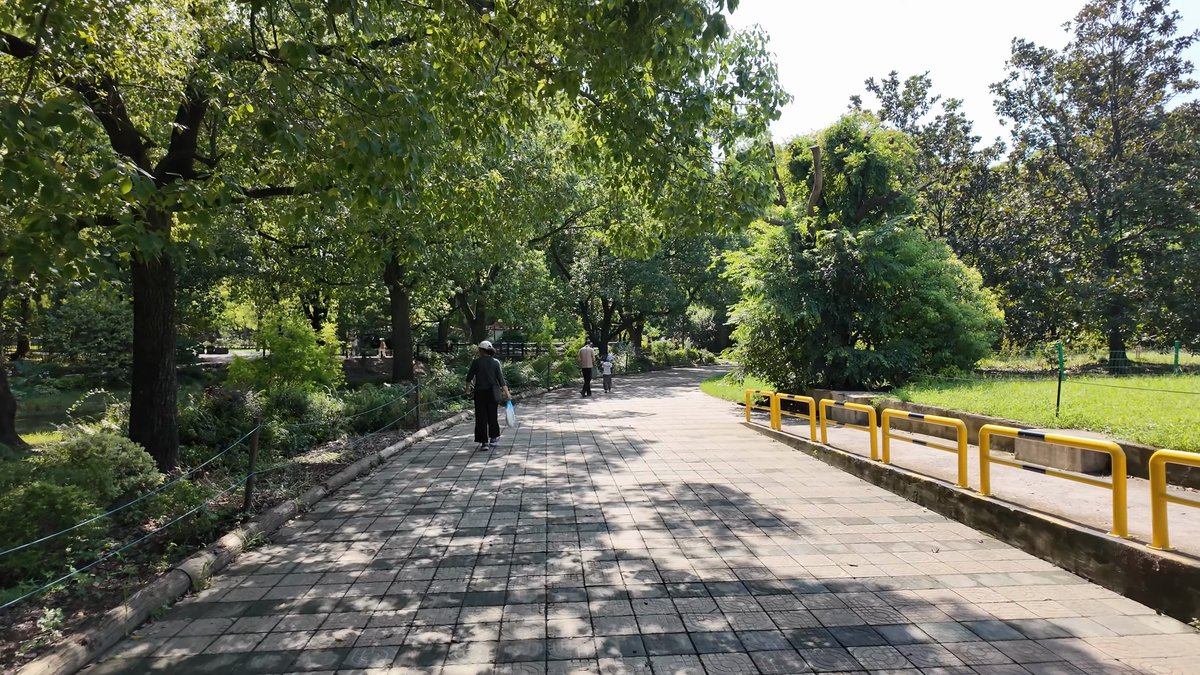A tiled path with a yellow and white