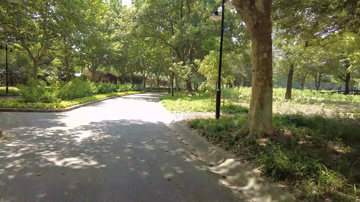 A wide path with lamp standards and hedging