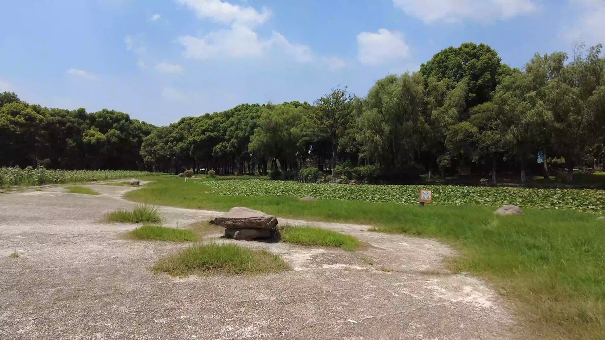 An open bare patch of ground with a