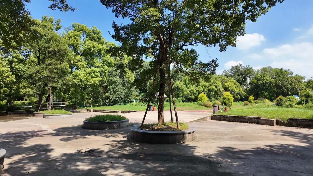 An open gravel clearing with a single tree