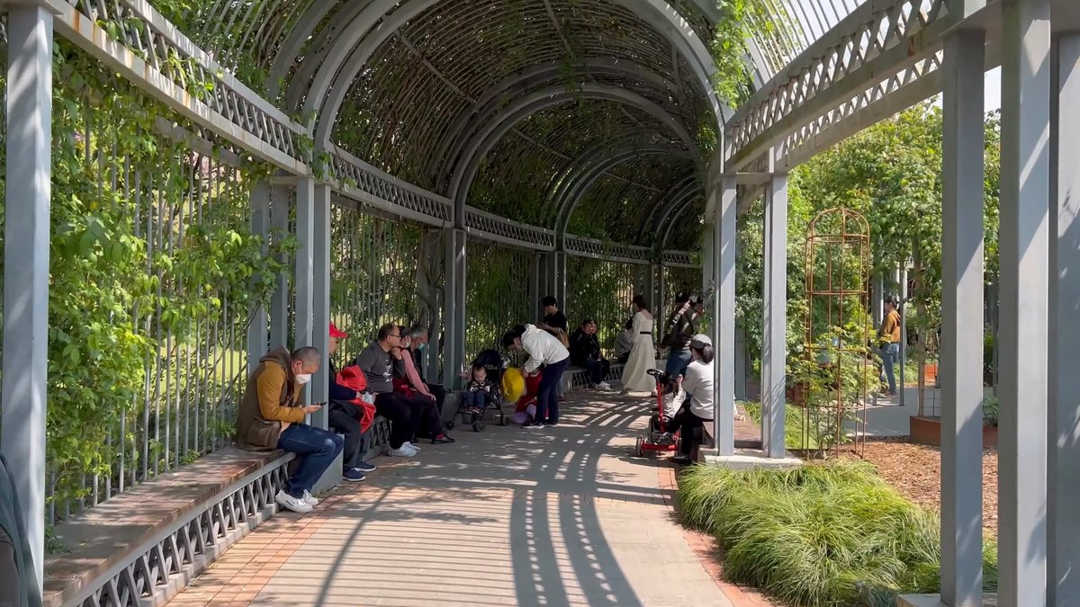 Benches along the white pergola