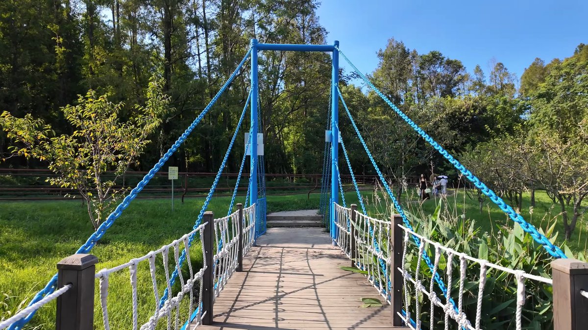Blue suspension bridge across the park