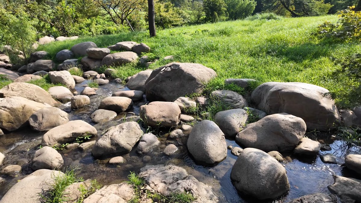 Boulder-strewn stream through the woods