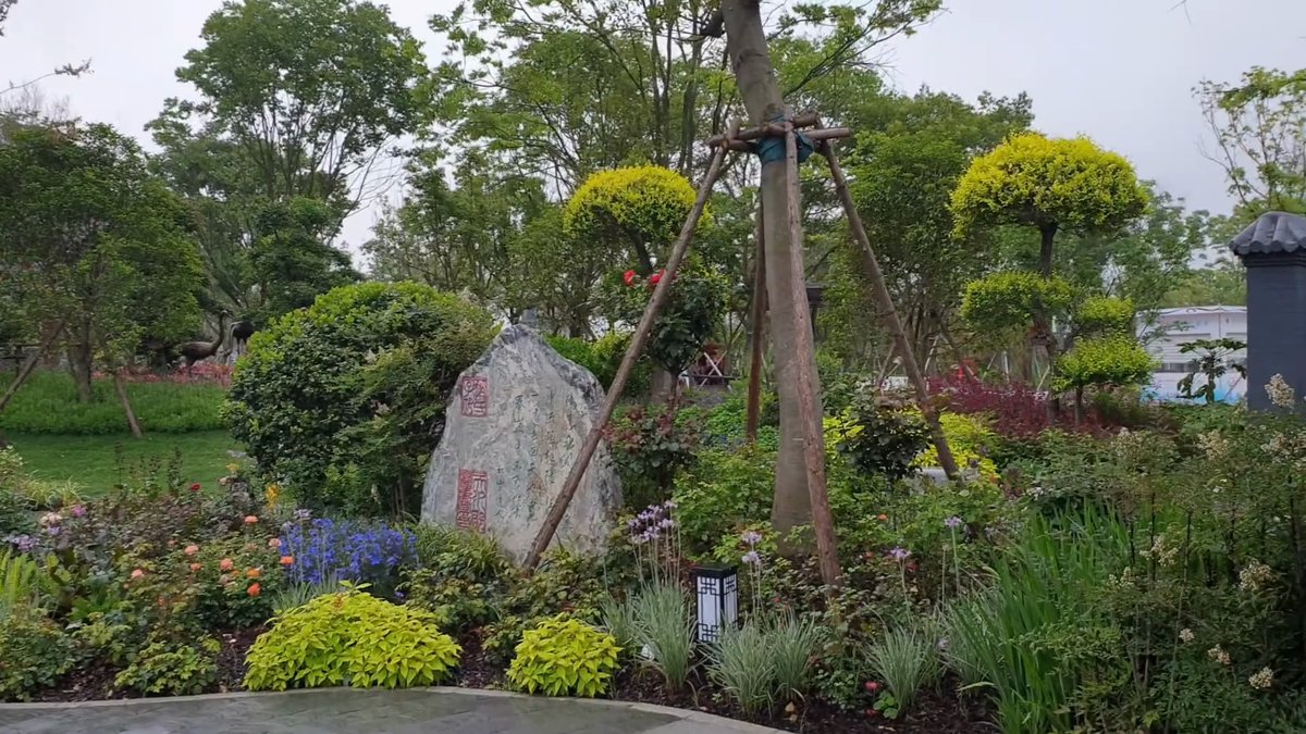 Boulders and clipped shrubs among staked young trees,