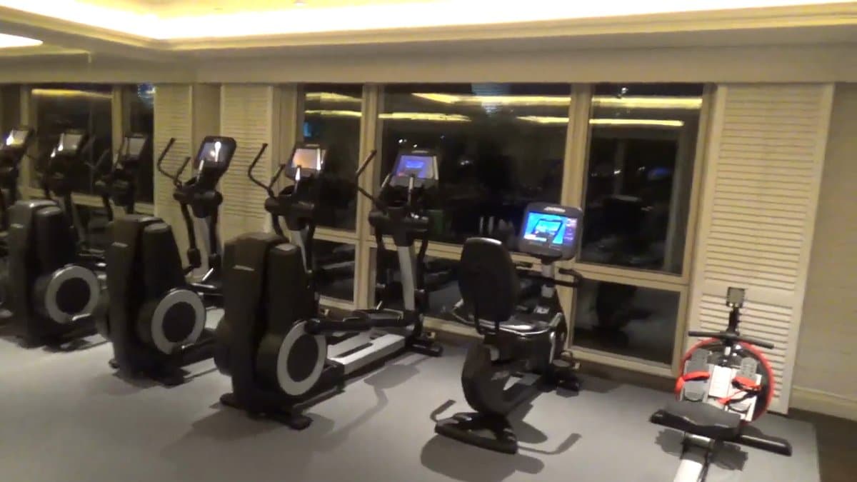 Cardio machines along gym windows