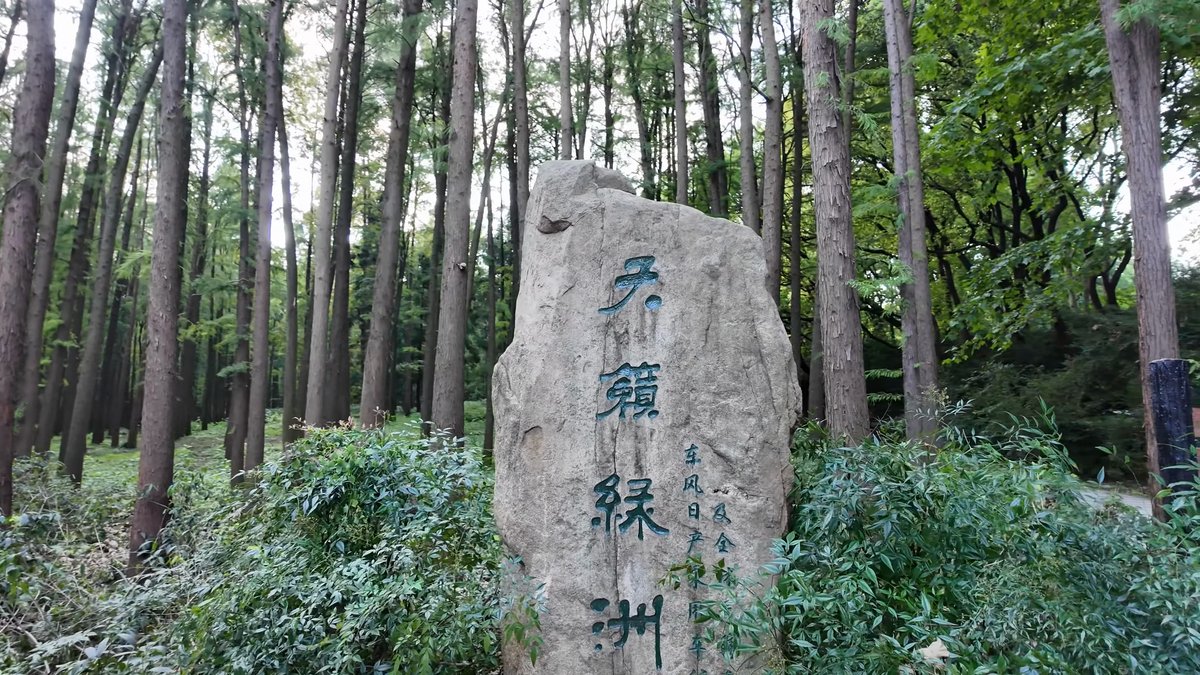 Carved stone among the redwoods