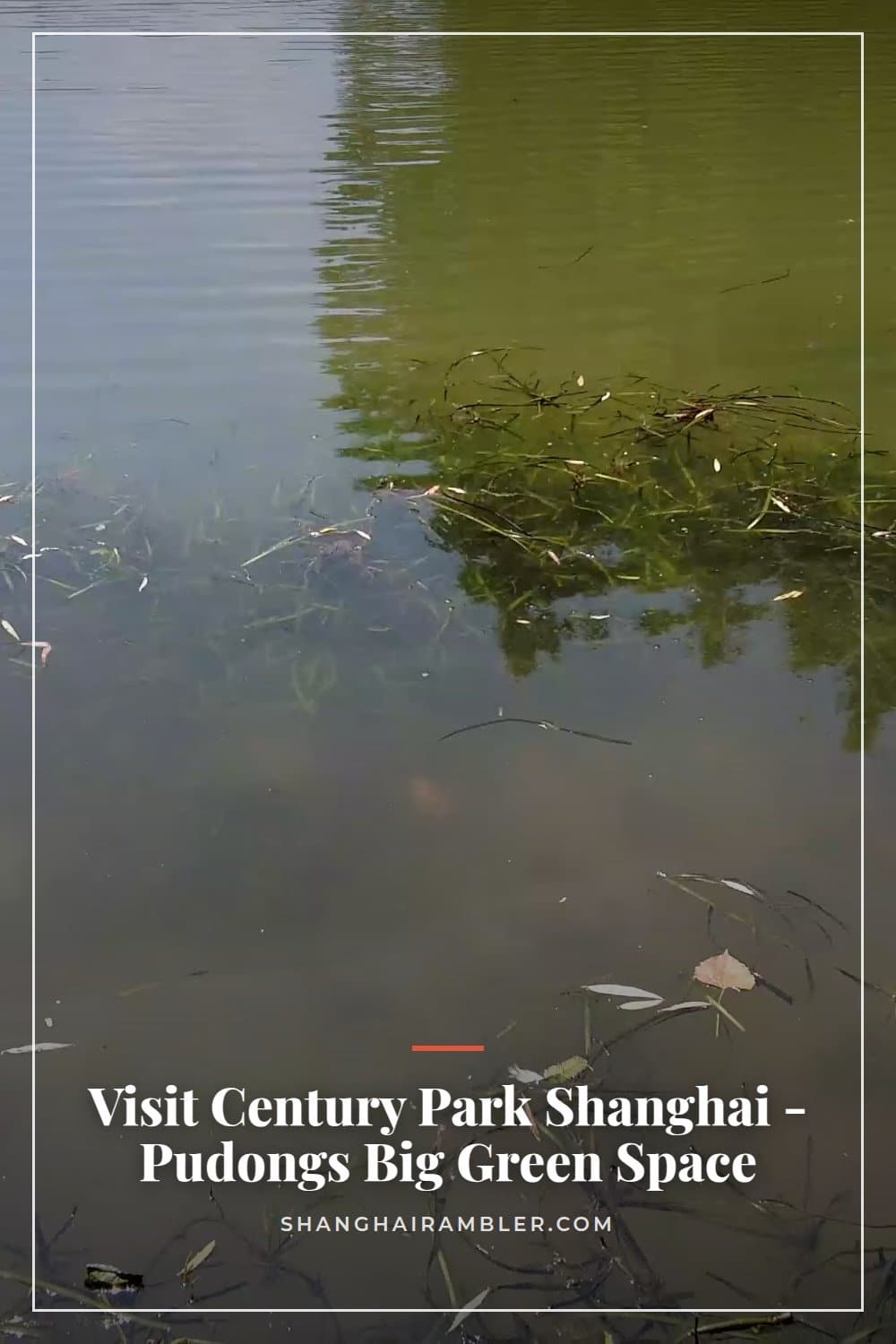 Century Park Shanghai, Pudong's Biggest Green Space