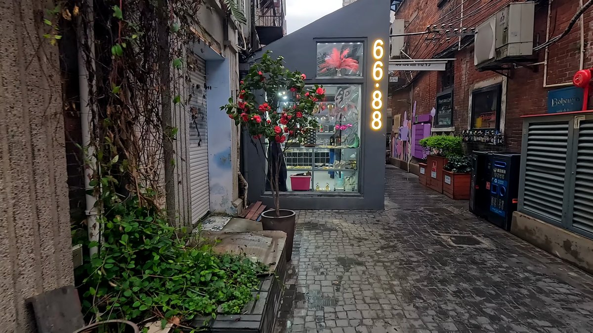 Climbing plants spilling over wall