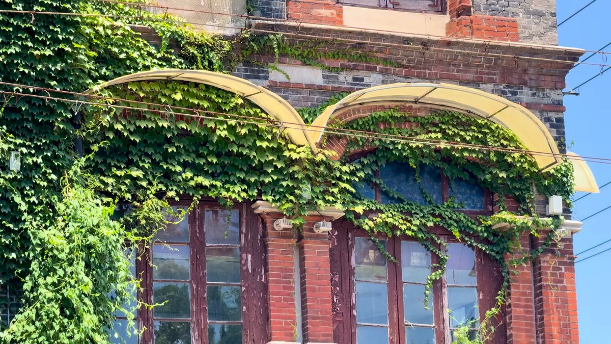 Close on arched windows with yellow-painted surrounds, half