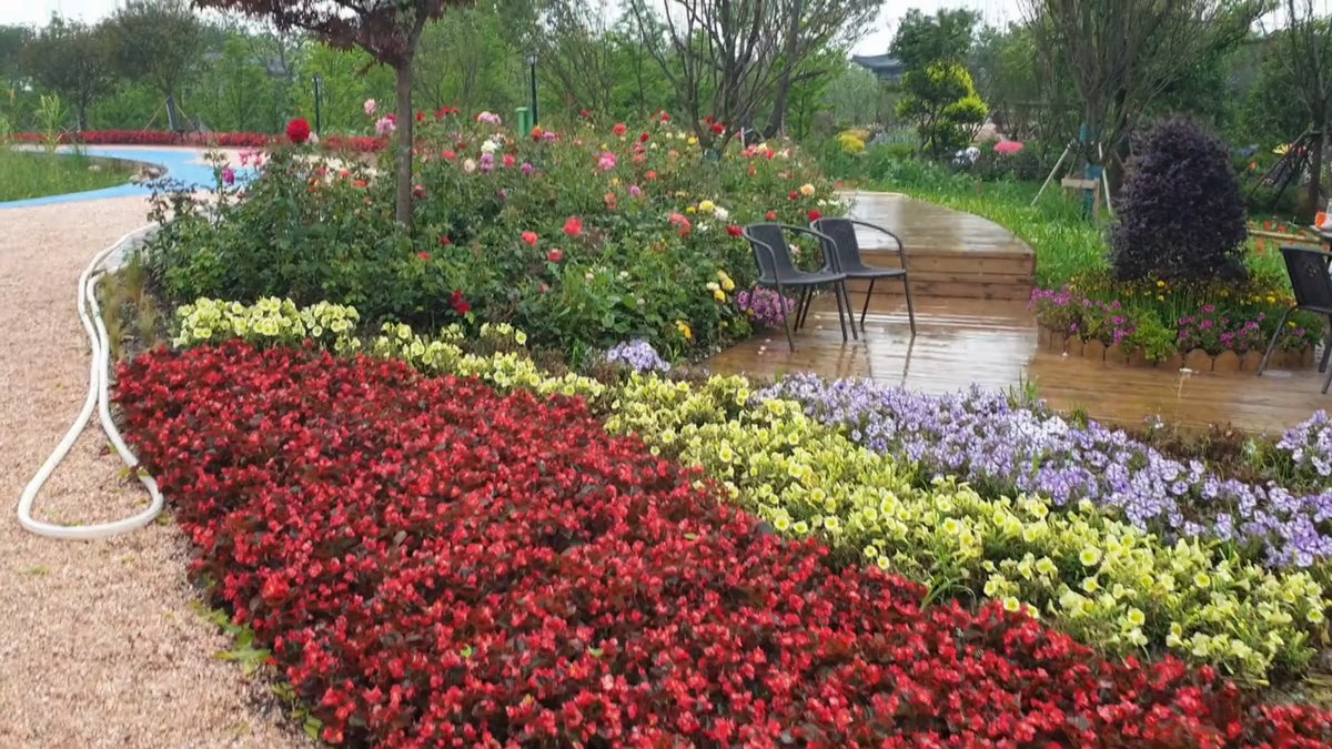 Colourful bedding bands beside a pond