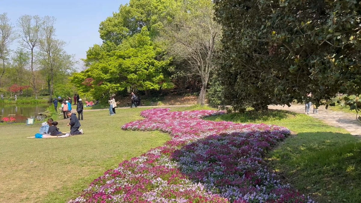 Curving pink and purple bedding