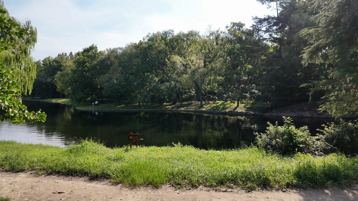 Dark still water beneath overhanging trees