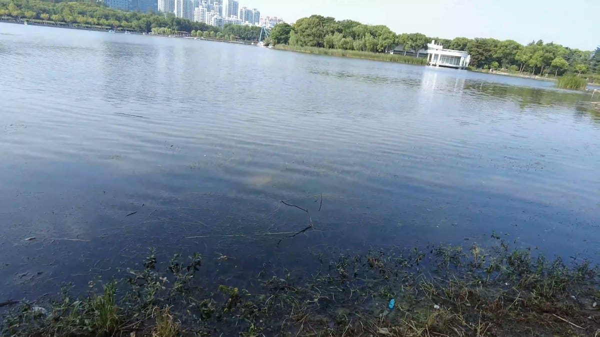 Distant pavilion on open lake