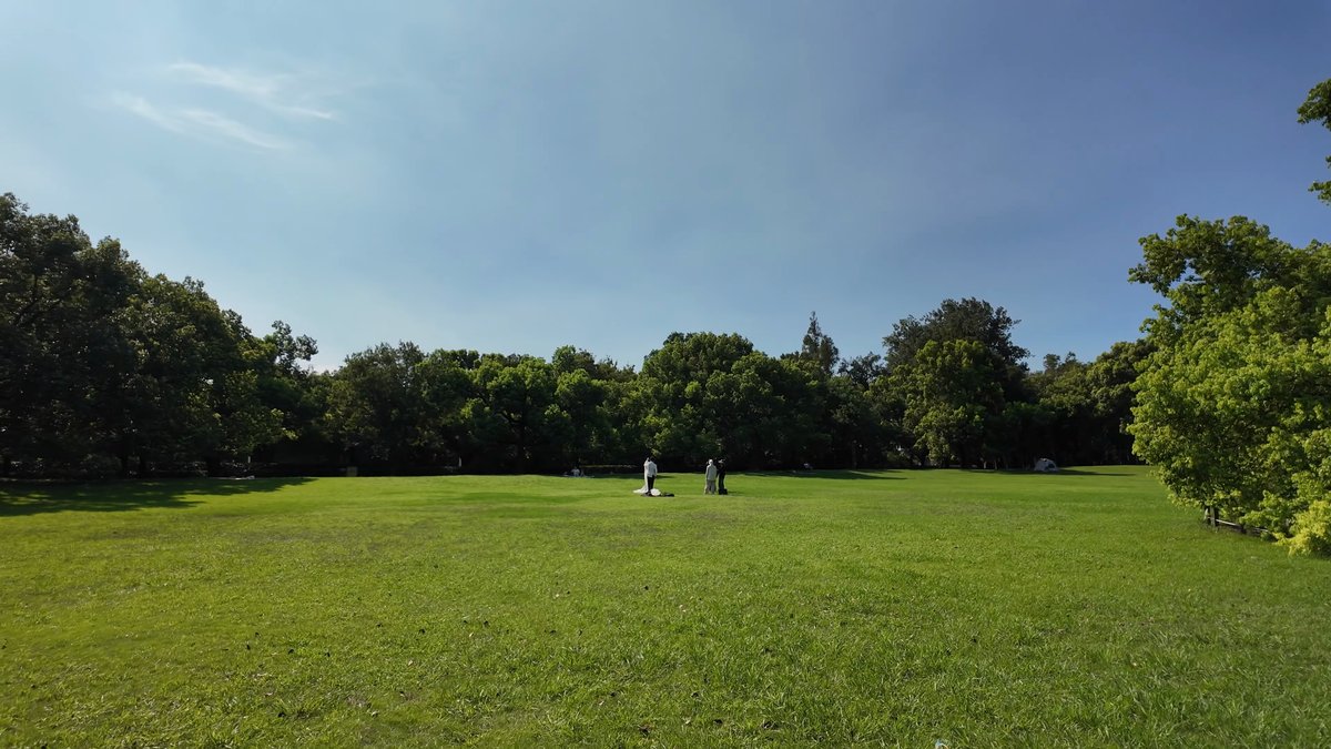 Figures crossing the open park lawn