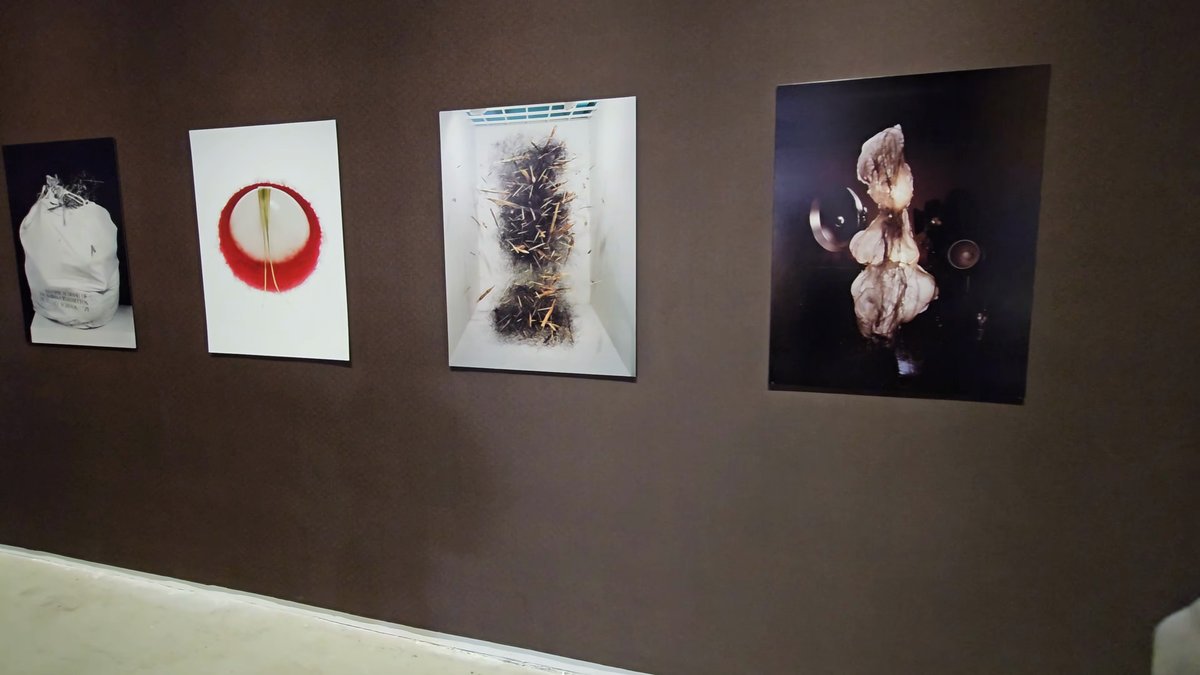 Five photographic works lining the gallery