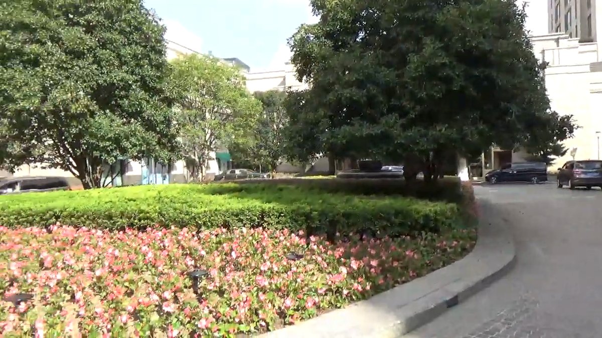Flower beds outside the hotel