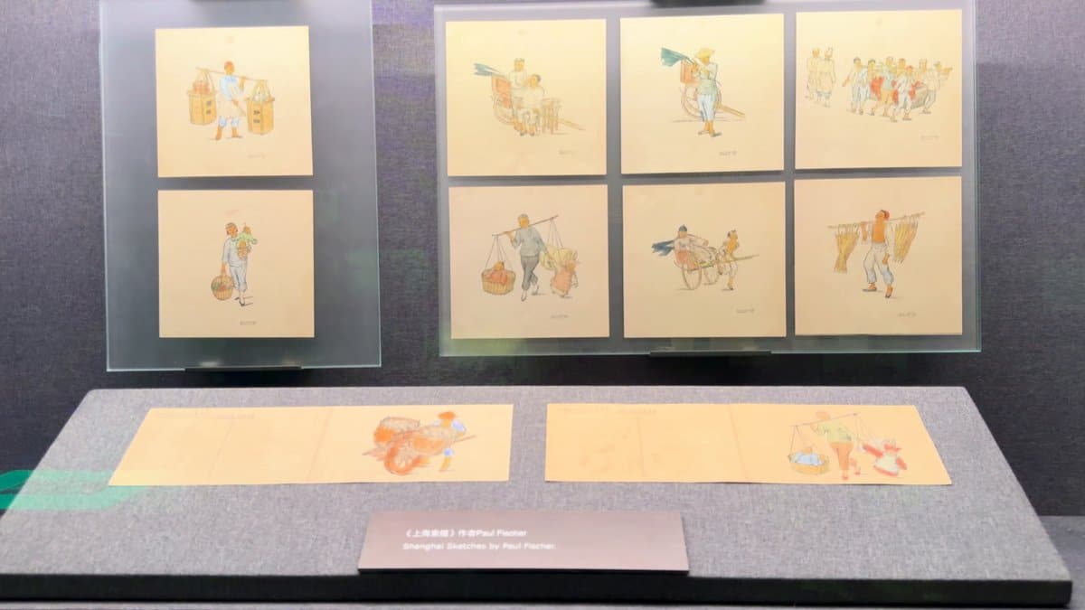 Framed watercolour illustrations mounted on the wall with