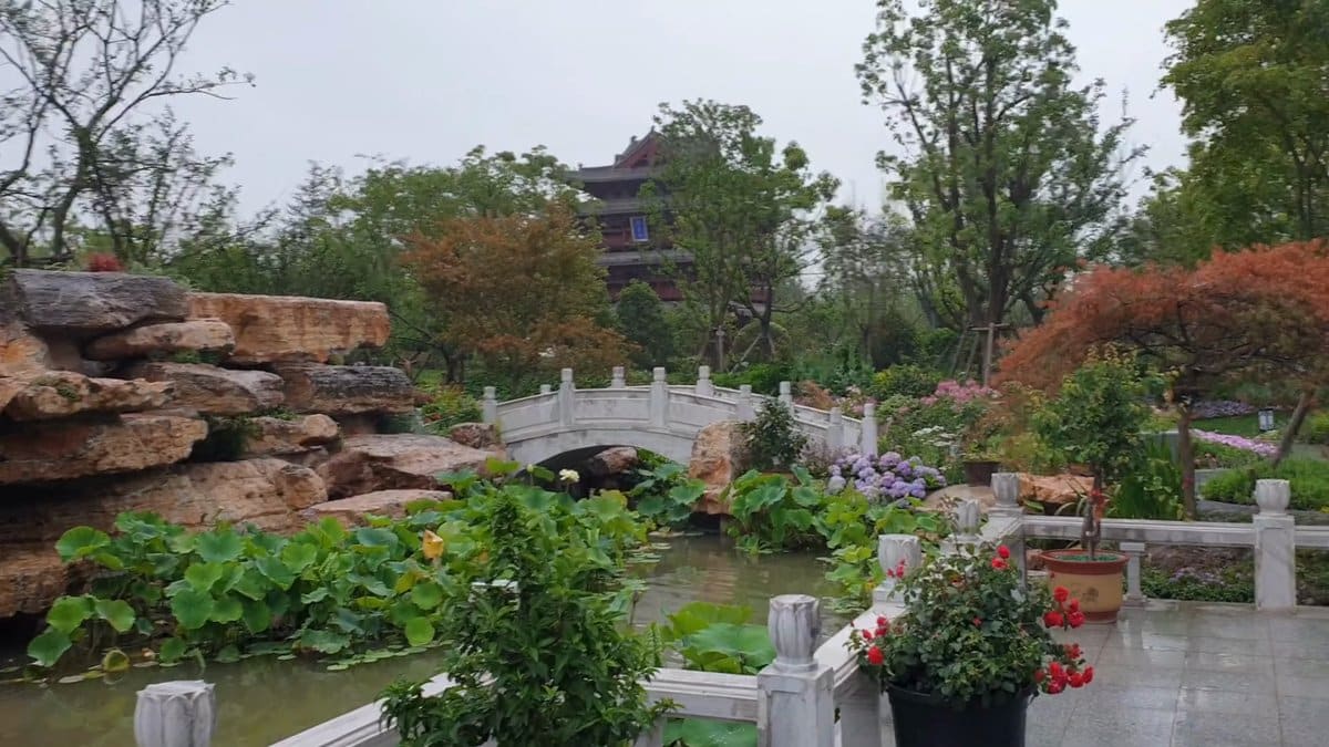 Garden buildings ranged along the pond