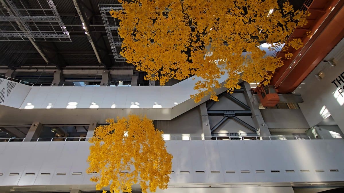 Golden foliage canopy under steel trusses