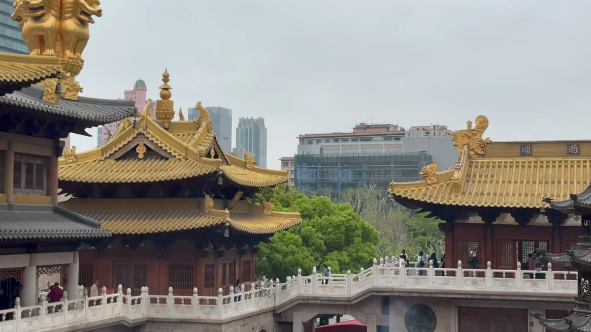 Golden roofs against skyscrapers
