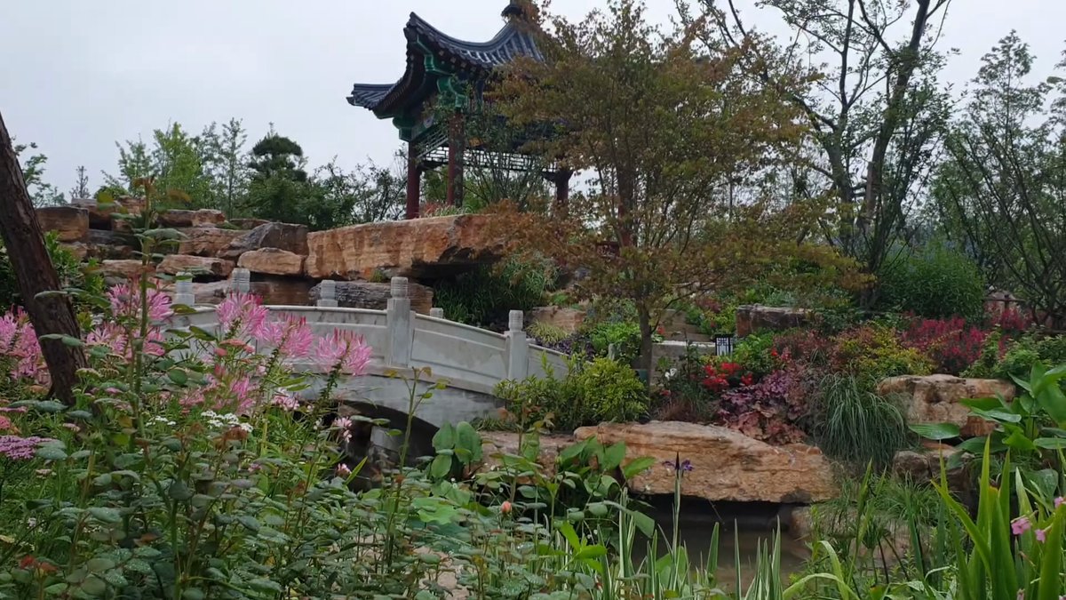 Green-tiled pavilion over a rock garden