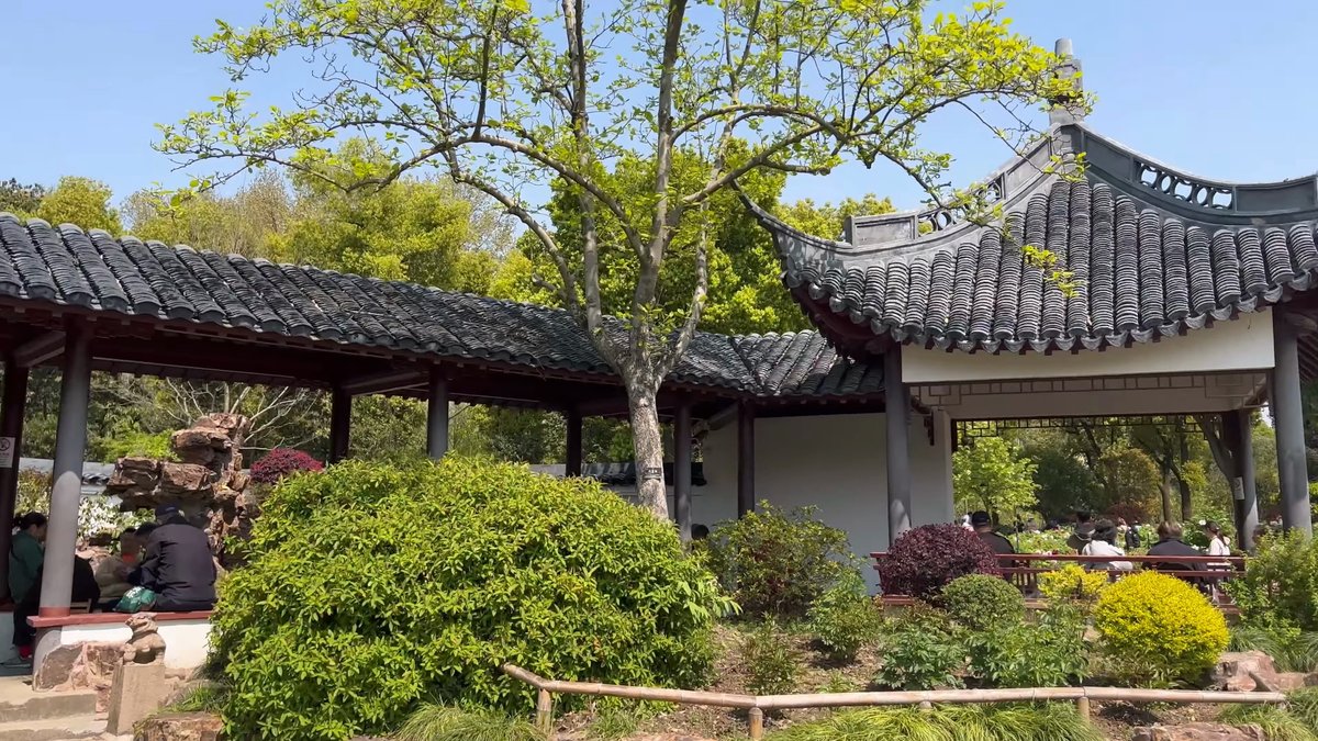 Grey-tiled pavilion among clipped shrubs