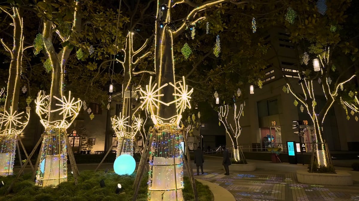 Inside the grove of lights