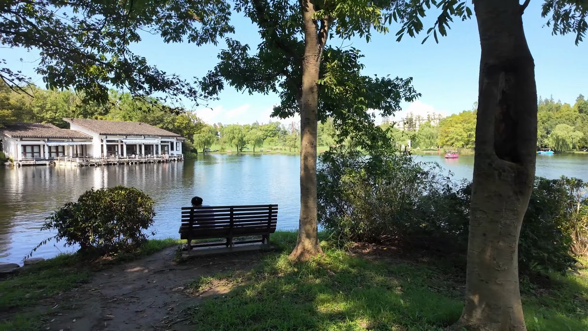 Lake shore dotted with boathouses