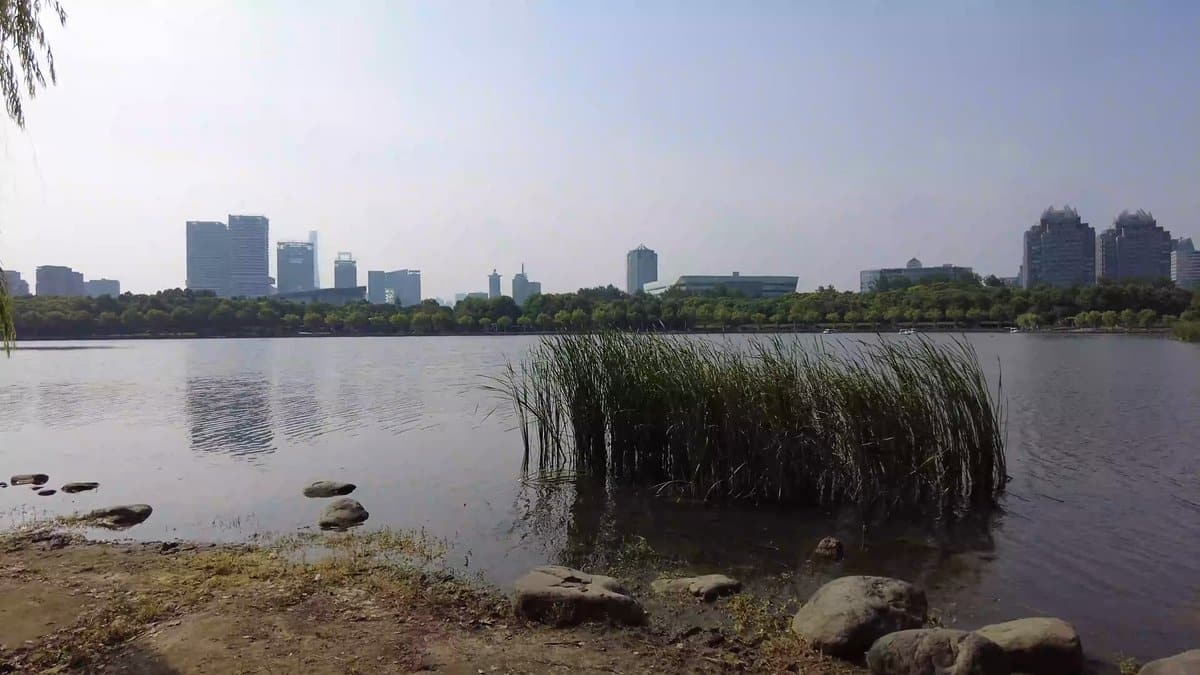 Lake view toward city skyline