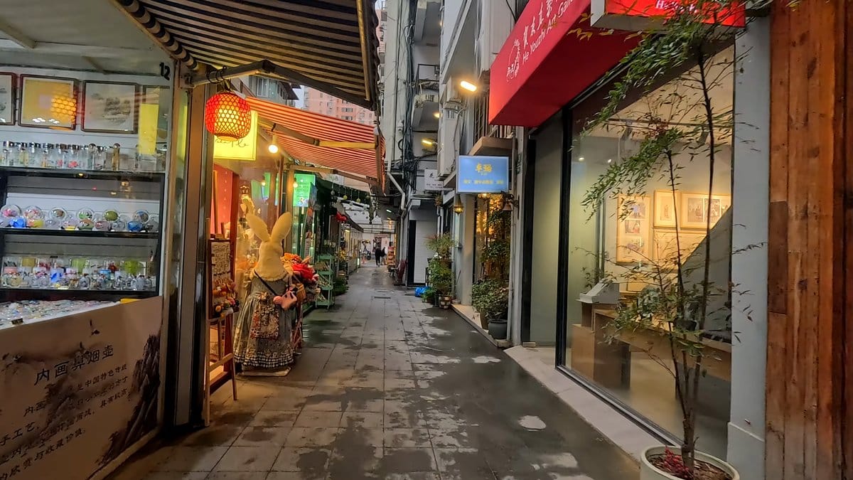 Lane shops with potted plants